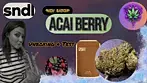 Acai Berry New Batch + Test