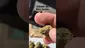 Video Thumbnail: ScottiDunCanna
