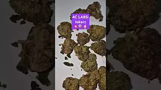 4C Labs - Jokerz (T18%)(UK Medical Cannabis Prescription)