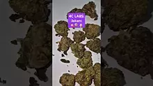 ScottiDunCanna Video Thumbnail