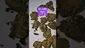 Video Thumbnail: ScottiDunCanna
