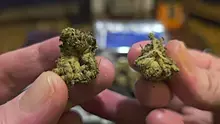 Punkz Emporium Video Thumbnail