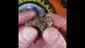 Video Thumbnail: Smacksalad