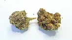 This week on strain review mondays we have, 4C Labs MSN T31 Morning Sun.