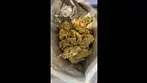 Apples and Bananas T27 | Buds 1 #ukmedicalcannabis #ukmedical #cannabiseducation #strainreview