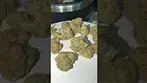 Craft Botanics T32 GGA GMO Grape Ape