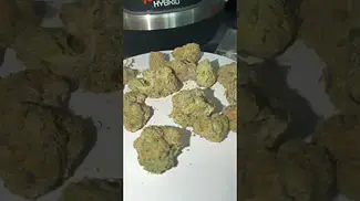 Craft Botanics T32 GGA GMO Grape Ape