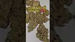 Azztecmedia FT Greenkarat Modified Gas T27  @MedBudWiki #anxiety #medicalcannabis #pain