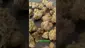 Video Thumbnail: Green Cloudz