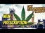 Video Thumbnail: Welcome to the Press