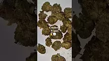 ScottiDunCanna Video Thumbnail