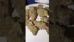 MAMEDICA RP T28 Rainbow Pie x 10g