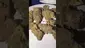 Video Thumbnail: Medi Blaze