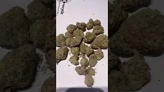 Grey Goose #medicalcannabis 25%thc