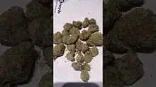 Strange Life 420 Video Thumbnail