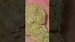 CURALEAF GREEN GELATO 23% THC