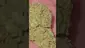 Video Thumbnail: THC Bunny