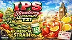 UK MEDICAL FLOWER | IPS | SBL | T21 | STRAWBERRY LEMONADE