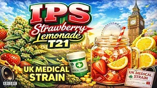 UK MEDICAL FLOWER | IPS | SBL | T21 | STRAWBERRY LEMONADE