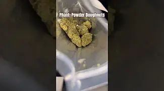 Phant: Powder Doughnuts (Pack opening & Weigh)