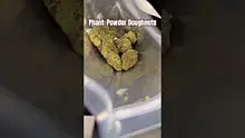 Review Budd Video Thumbnail