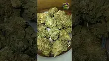 VIP THC Video Thumbnail