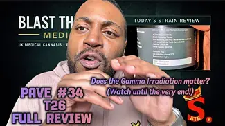 Pave #34 T26 Review | UK Medical Cannabis Strain