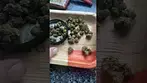 Uk legal, BNM - Gorilla Kush 30%thc 1%cbd #bignarstie #mensmentalhealth #ukmedicine #itsokaytotalk