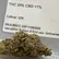 Flower Photo of All Flower/Strains (Prescription Medical Cannabis) OZK T29 OZK