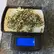 Flower Photo of All Flower/Strains (Prescription Medical Cannabis) FGS T18 Full Gas