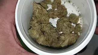 Strawberry Glue By Grow Pharma Review.