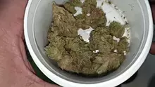 Mayor Green Video Thumbnail