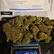 Flower Photo of All Flower/Strains (Prescription Medical Cannabis) MOR T27 Moon Rocks