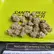 Flower Photo of Importers & Pharmacy Wholesalers D1 Smalls T23 Pink D1