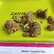 Flower Photo of All Flower/Strains (Prescription Medical Cannabis) LCG T24 Lemon Cherry Gelato