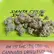 Flower Photo of Companies Cultivating/Producing UK Medical Cannabis RM T17 Runtz Muffin
