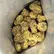 Flower Photo of Companies Cultivating/Producing UK Medical Cannabis GCR T27 Gas Cream Cake