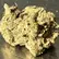 Flower Photo of Companies Cultivating/Producing UK Medical Cannabis ASG T30 Atomic Sour Grapefruit