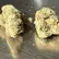 Flower Photo of Companies Cultivating/Producing UK Medical Cannabis IKM T28 ICC Kush Mints