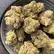 Flower Photo of Importers & Pharmacy Wholesalers HB T24 Hash Burger