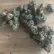 Flower Photo of Companies Cultivating/Producing UK Medical Cannabis RP T31 Rainbow Pavé