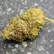 Flower Photo of All Flower/Strains (Prescription Medical Cannabis) PMK T24 Permanent Marker