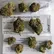 Flower Photo of Importers & Pharmacy Wholesalers ZO T19 Zoom
