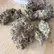 Flower Photo of Packagers, Manufacturers & Formulators SBF T27 Superboof