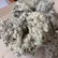 Flower Photo of Packagers, Manufacturers & Formulators Core MAC T27 Miracle Alien Cookies