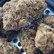 Flower Photo of Companies Cultivating/Producing UK Medical Cannabis Organic CFC T27 Coffee Cake