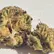 Flower Photo of All Flower/Strains (Prescription Medical Cannabis) SC T22 Solar Charge