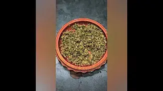 Apples & Bananas 27%THC by AAAA... Medical Prescription cannabis.