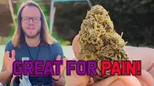 United Patients Alliance Video Thumbnail