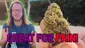 Video Thumbnail: United Patients Alliance